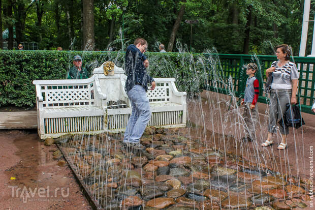 Прогулка по паркам Петергофа / Фото из России