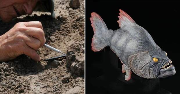 В Германии найдены останки пираньи, пожиравшей динозавров в мире, динозавры, наука, находка, останки, пиранья