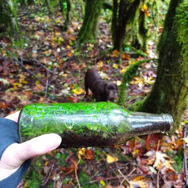 Фотография: 22 странные находки, которые вызвали у людей недоумение №8 - BigPicture.ru