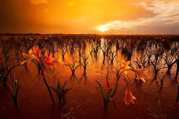Namibia18 Namibia18 Фантастические пейзажи Намибии