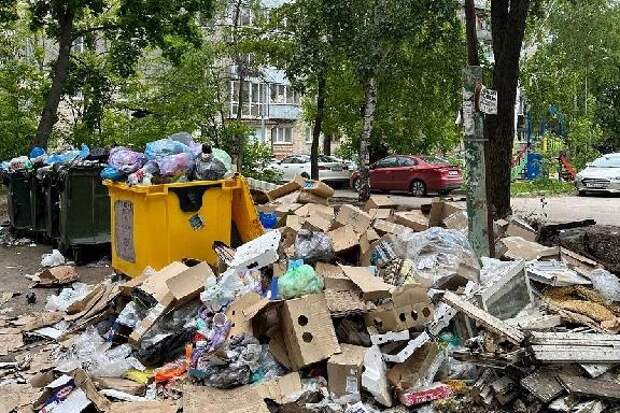 Проблемы с вывозом мусора в Тамбове до сих пор не решена