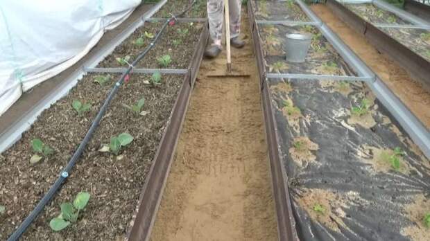 Как создать бюджетные экологичные дорожки в саду