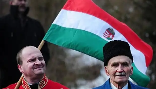 Венгры в Закарпатье пожаловались на преследования украинцев