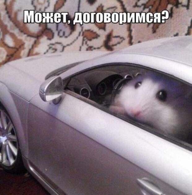 Сборник фотоприколов на автотематику (26 шт)