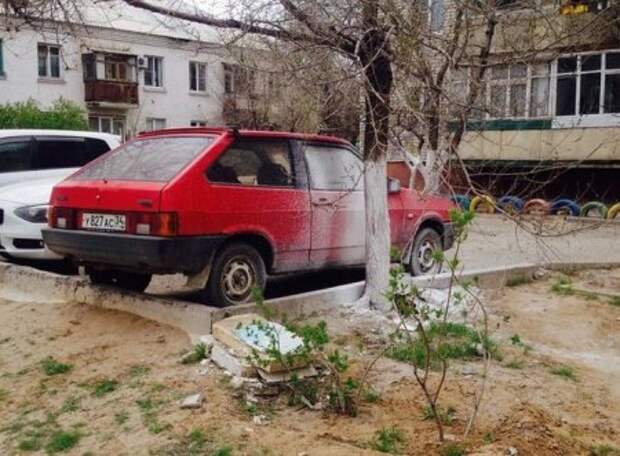 Прикольные картинки, твое хорошее настроение.