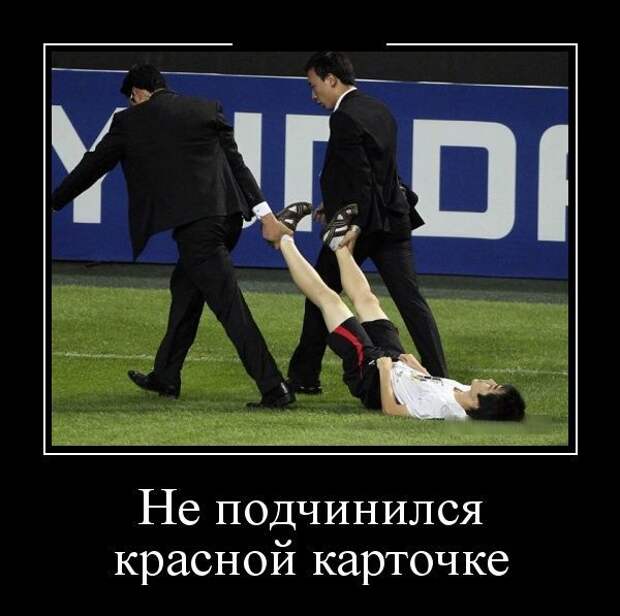 Демотиваторы (30 фото)