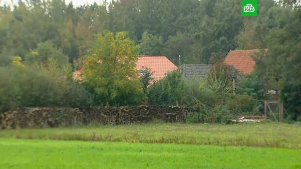 Душил и вырывал волосы: державшего детей взаперти голландца обвинили в издевательствах