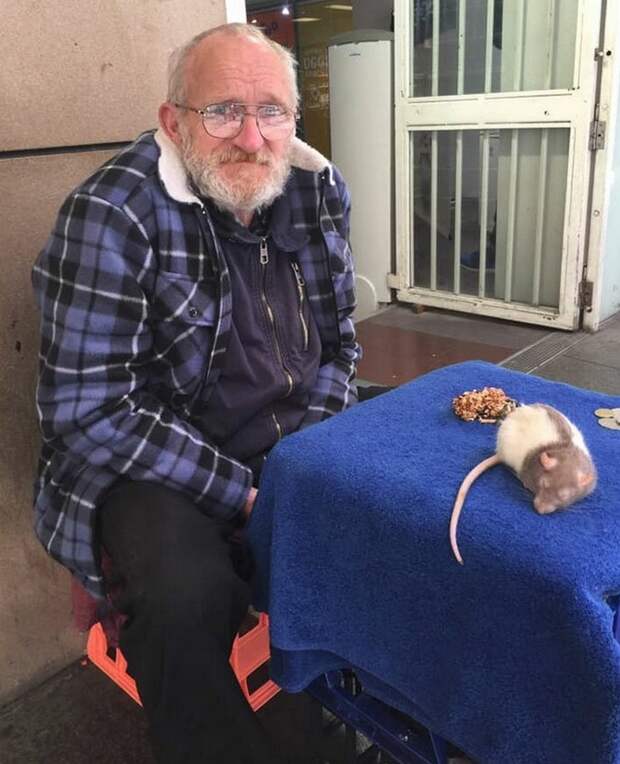 Бездомный Крис и не люди укравшие его крысу по кличке Люси