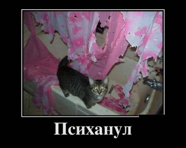 Новые прикольные демотиваторы (38 шт)