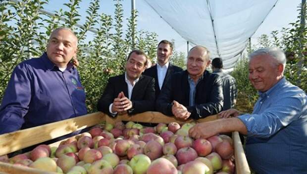 Путин и Медведев «напросились» на обед (ВИДЕО)