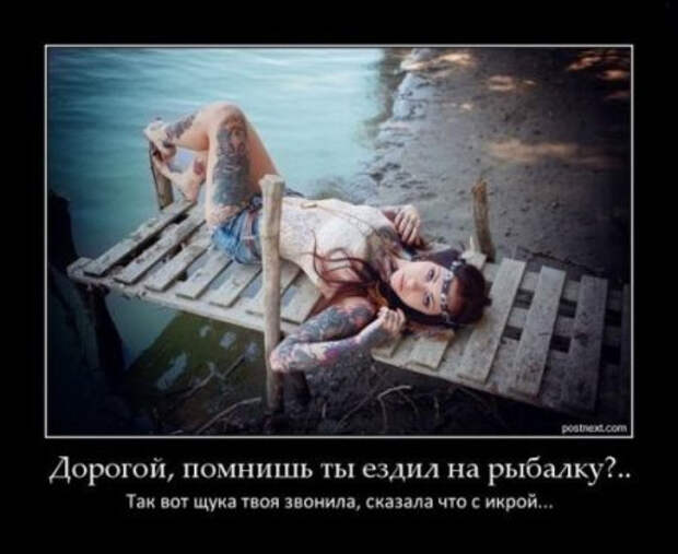 1413983547_2794_club-fish.ru_5 (450x368, 98Kb)