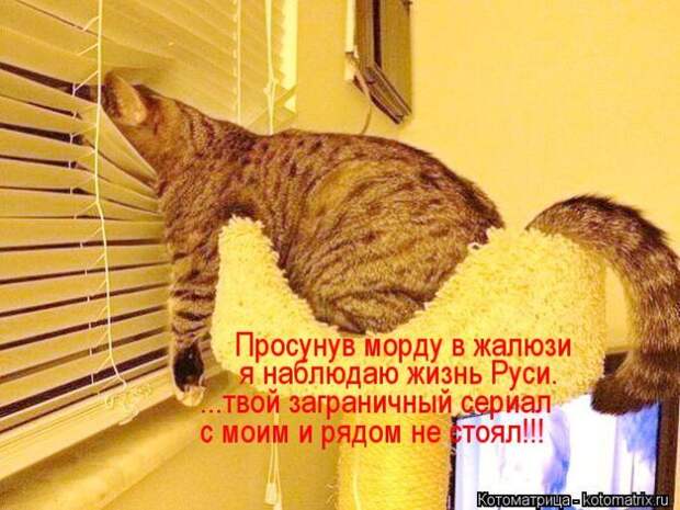 Демотиваторы и не только.
