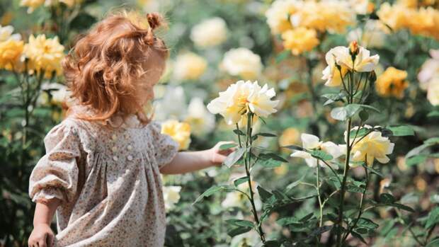 Открыта клетка, стирающая детские воспоминания