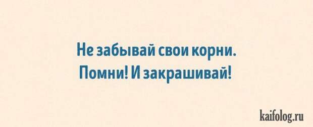 Прикольные открытки (35 картинок) Прикольные открытки (35 картинок)