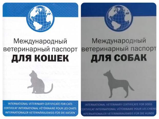 Ветеринарная карта животного