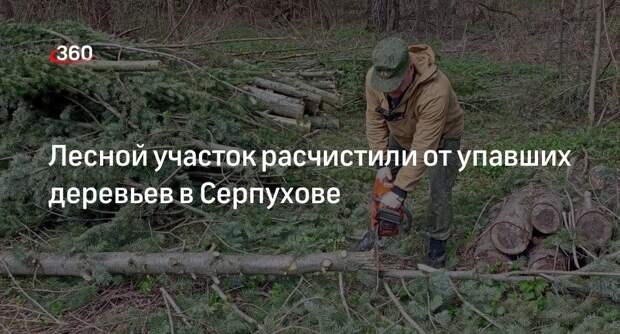 Лесной участок расчистили от упавших деревьев в Серпухове