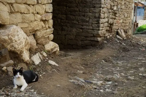 Горные крепости и укрепленные аулы Дагестана Горные крепости и укрепленные аулы Дагестана