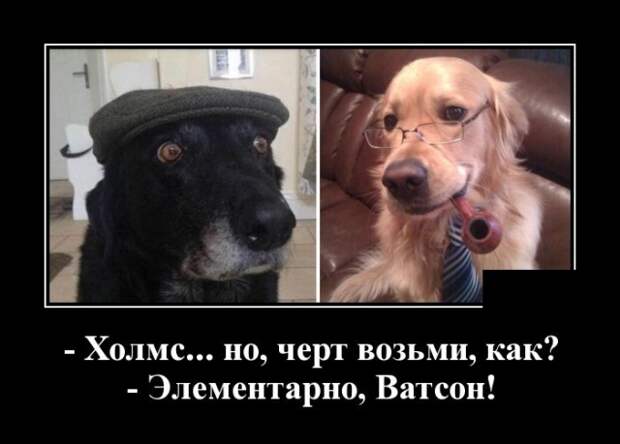Демотиваторы