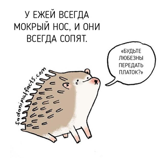 Неожиданная правда о животных от Брук Баркер
