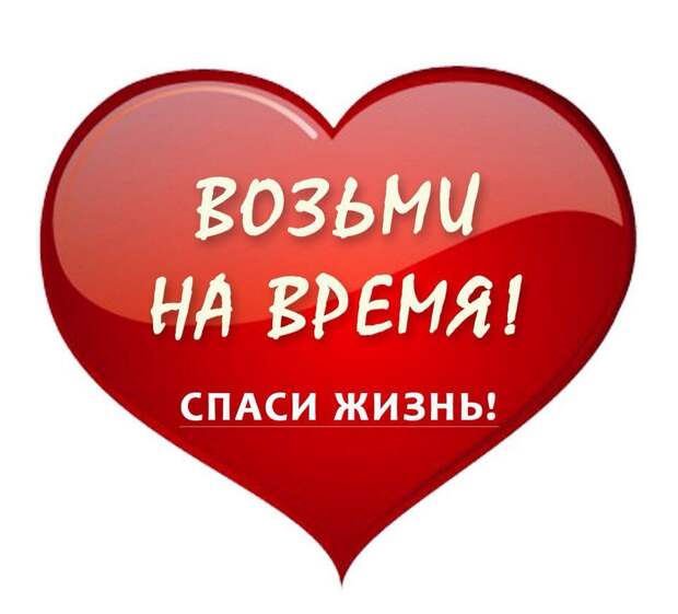 Один из жильцов и сотрудники жилконторы активно выступают против этих солнечных малышей... Люди, нужна любая ваша помощь!!!