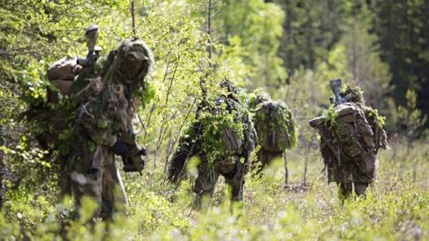 Войска ждут «зелёнку». Никакого замедления нет, – российский военкор