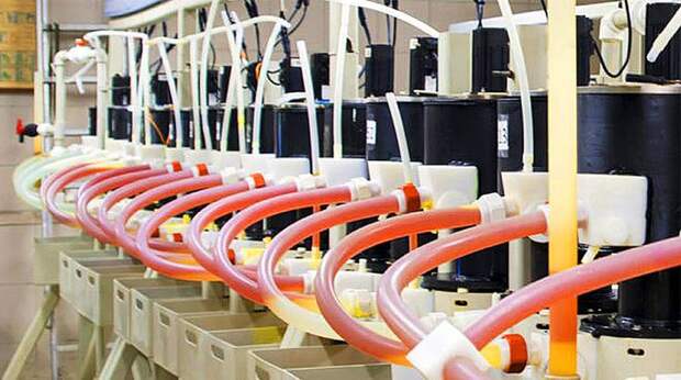 Субсидии не удержали РЗМ