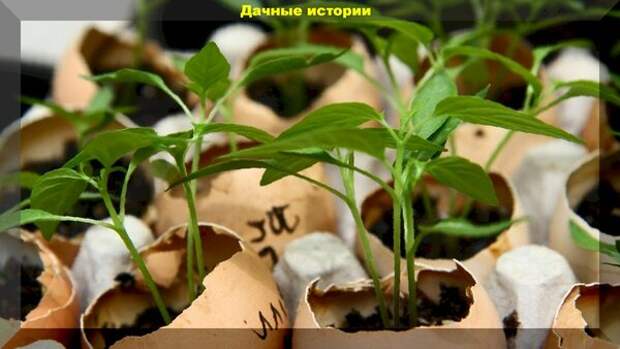 https://vk.com/photo-159774511_456241368