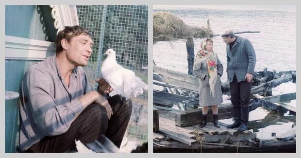 «Я не хотел жить»: как 80-летний Александр Михайлов из «Любовь и голуби» пережил кому, войну в Чечне и нашёл любовь после 35 лет мучений