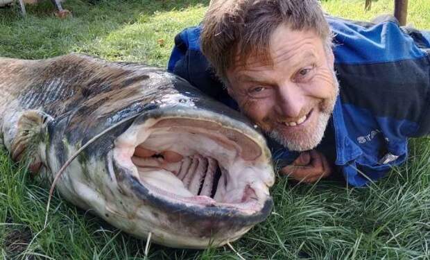 Рыбак в Чехии выудил в озере карпа размером с себя