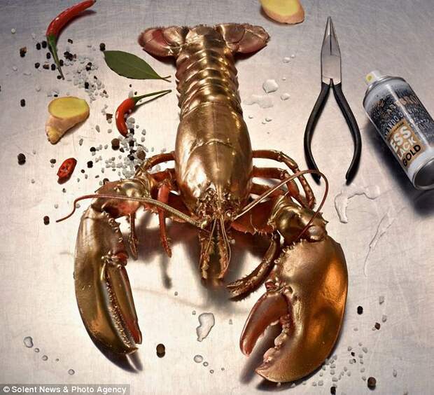 Первая в мире съедобная краска