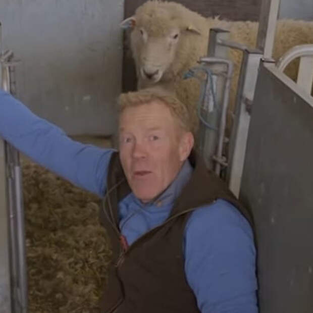 Баран сбил с ног телеведущего и заставил его выругаться матом в эфире