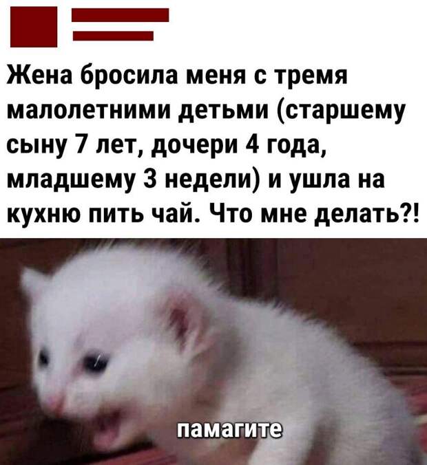 Юмор дня (17)