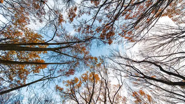 Вильфанд рассказал о погоде в регионах России в ближайшие дни