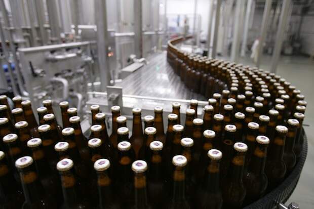 10 фактов о производстве и употреблении пива