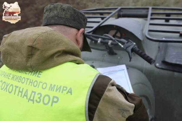 В Омской области проходят мероприятия по осуществлению государственного охотничьего контроля