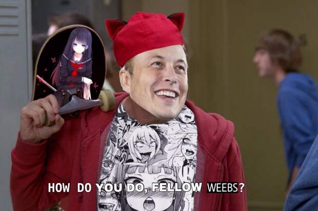 Маск попросил мемы Маск попросил мемы