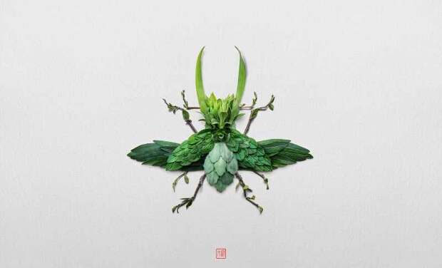 Natura Insects. Raku Inoue 1