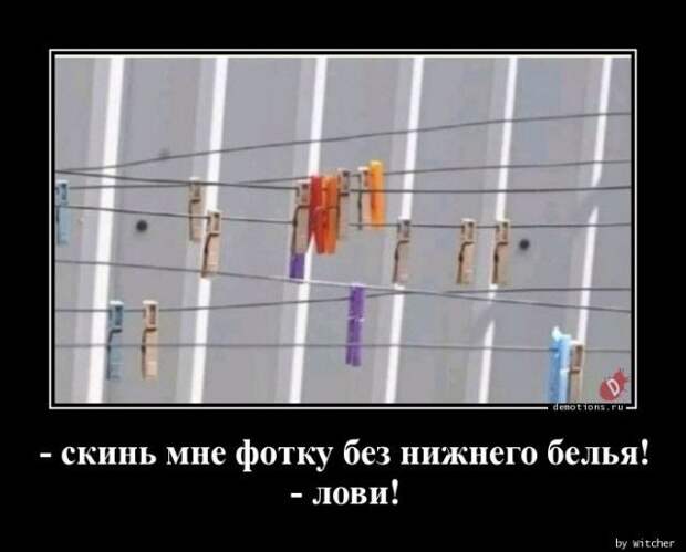 1589352366_demy-8.jpg