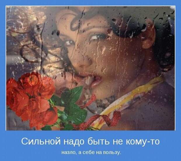 clip_image006