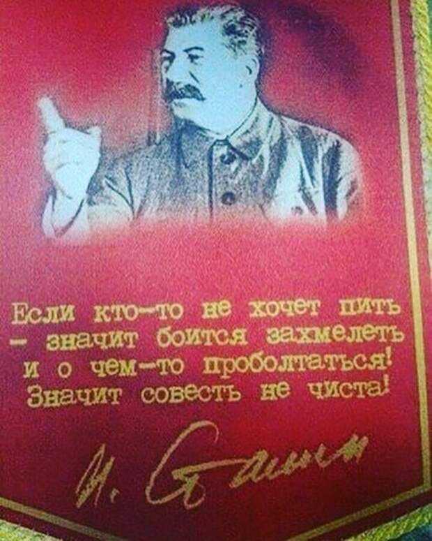 Пятничный алкогольный юмор
