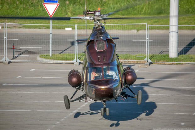 LYSM9577