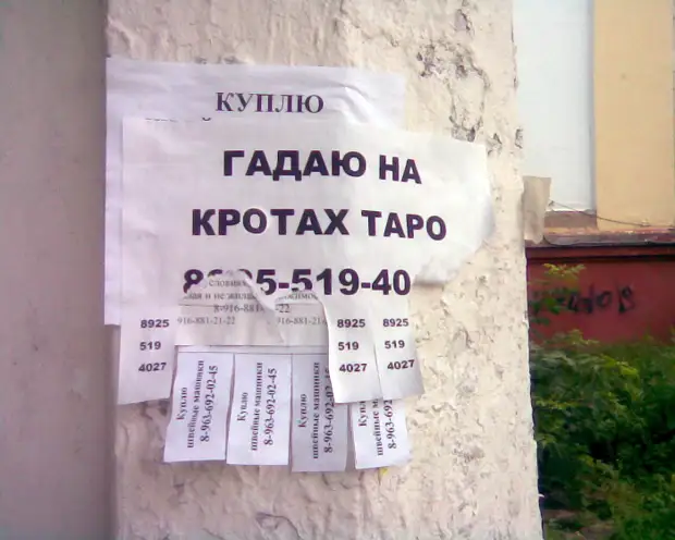 Настоящий друг никогда не спрашивает: Настоящий друг никогда не спрашивает: