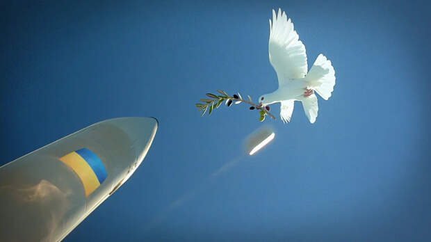 В МИД России заявили, что достижение мира на Украине невозможно без формулы Анкориджа