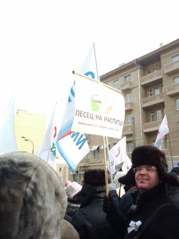 Плакаты с митинга (32 фото)