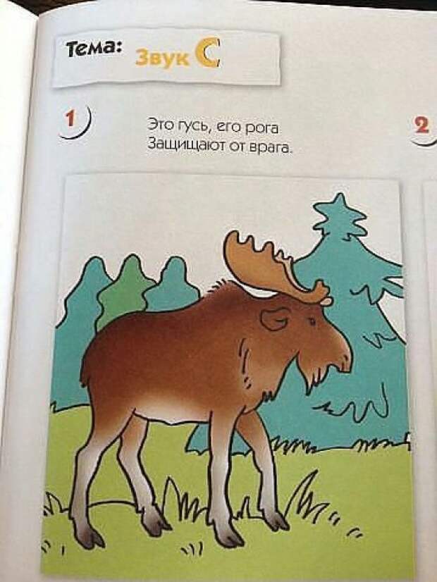 Рекламные маразмы