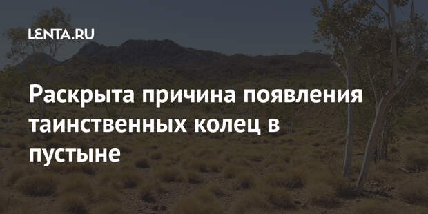 Раскрыта причина появления таинственных колец в пустыне