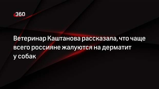 Ветеринар Каштанова рассказала, что чаще всего россияне жалуются на дерматит у собак