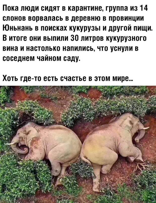 www.vsyako.net