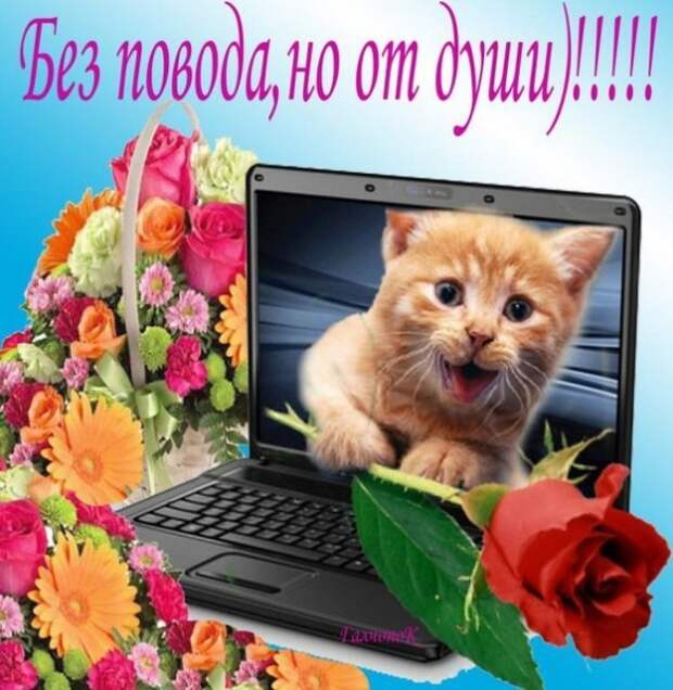 поздравления вотсап