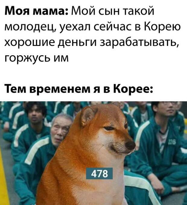 Смешные картинки 12 ноября 2021 года